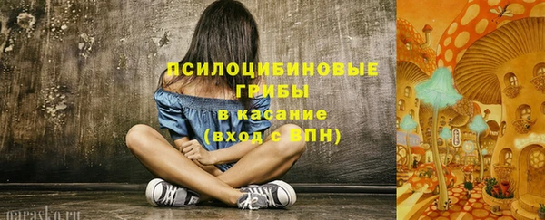 ПСИЛОЦИБИНОВЫЕ ГРИБЫ Липки