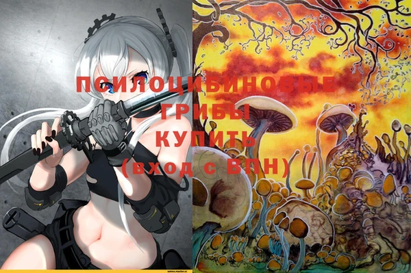 ПСИЛОЦИБИНОВЫЕ ГРИБЫ Липки