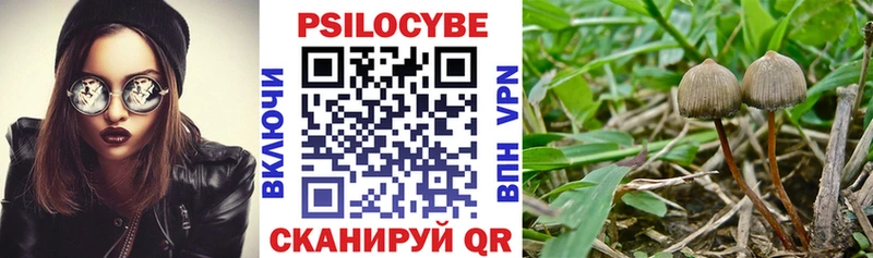 Псилоцибиновые грибы GOLDEN TEACHER  Купить закладки  Енисейск 